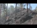 GAUF- Grupo de Análise e Uso do Fogo