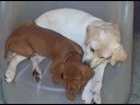 Aug 31 2007 - VID00005