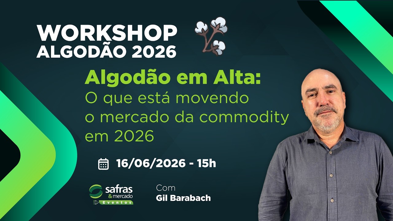 Algodão em Alta: O que está movendo o mercado da commodity em 2026