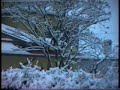 neve 31/12/1995-1/1/1996 www.meteopassione.com