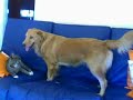 Fun on the couch