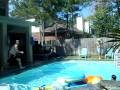 videos de Synchronized Diving....NOT