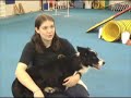 Dog Agility Documentary
