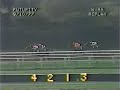 Affirmed vs. Alydar - 1977 Futurity Stakes (4th Meeting)