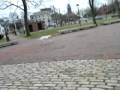 videos de dog in the garden