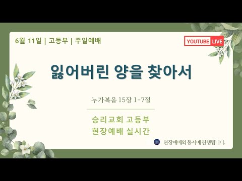 잃어버린 양을 찾아서
