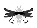 ink blots ink blots
