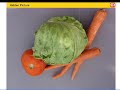Curriculum Companion - Healthy Choices