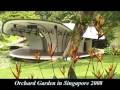 Orchard Garden Museum and Airport in Singapore 2008