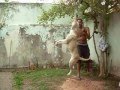 Bulldog Americano video