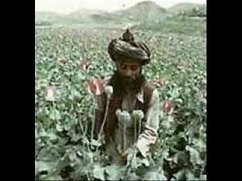 AFGHANISTAN OPIUM: Financing the ...
