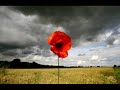 In Flanders Fields In Flanders Fields
