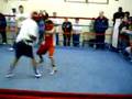 Team USA Sparring in Argentina featuring Raushee Warren II