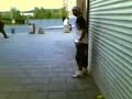 Fittja Centrum Alex-145 BackFlipp