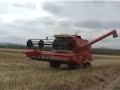 Combine Harvesting