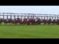 2013 Royal Ascot Royal Hunt Cup