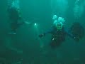 Dykking i Saltstraumen