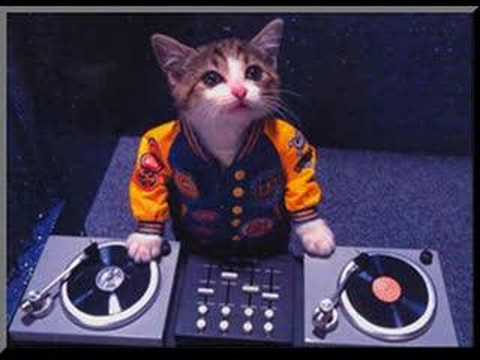 Cantaditas RADICAL de ayer y hoy vol 2