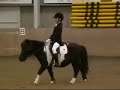 Compilatie Shetlandpony Indoor 2008 Compilatie Shetlandpony Indoor 2008