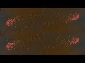 kaleidoscopio panoptico aereo