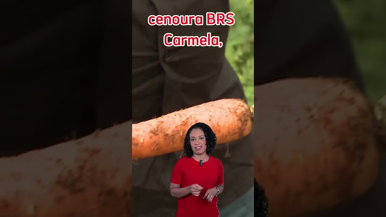 O que o coelho da Páscoa brasileiro come?