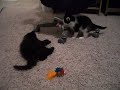 Playing on my Chair