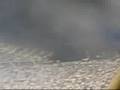 videos de Hajduk - Deportivo  -DALMACIJO-