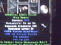 my diablo 2 accout (lvl 99 palidan)
