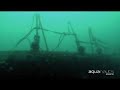 scylla wreck