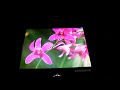 Folding AMOLED Display by Samsung SDI at FPDI2008