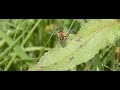 Drone fly ready for take off Drone fly ready for take off