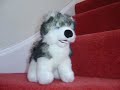 Cuddly Dog Stop-Motion Cuddly Dog Stop-Motion