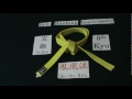 Click here to watch this video The Making of A Black Belt: Belt Ranking Requirements for 5th Kyu