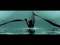 vittorio-cosma-senza-freni.html