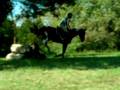 Ribbons 'N Bows Novice Cross Country Bank