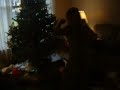 Front Flip