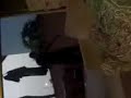 \"BLACK GUY O A SK8BOARD\" : me, trey, favian