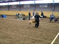 Willow utstallning 071027 del2