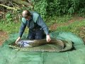 45lb catfish from Rackley Hills