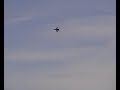 Bellota Jet 2006 - F/A 18 - Roberto Montiel
