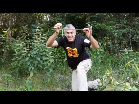 YouTube reptile video