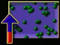 LOS ESTADOS DE LA MATERIA