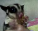 Thumbnail #3