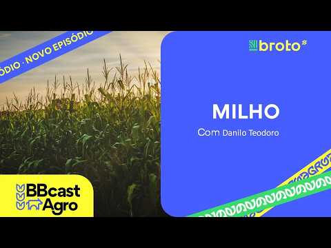 Milho: USDA eleva exportações, Chicago estável e reação nos preços | BBcast Agro-13/02/2026