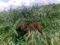 videos de Video019.mp4
