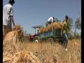 PIRNAT - Koru Köyü (TEPTE) EKİN üçlemesi 1.nci kısım