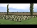Argenta Cemetry - Tecnologo della comunicazione multimediale Argenta Cemetry - Tecnologo della comunicazione multimediale