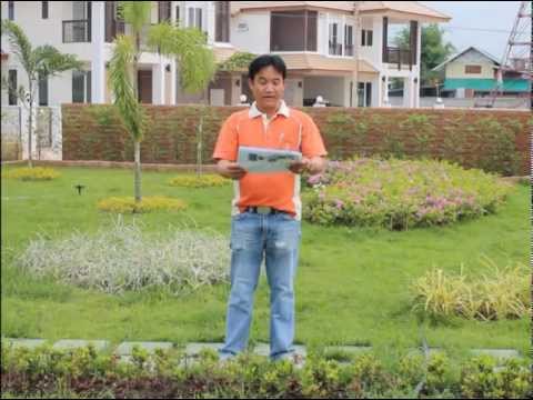 นวนนาง - การแสดงหมอลำพื้นบ้านอีสานสังวาท กาฬสินธิ์-สารคาม(ลำโบราณ)