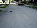fastest? BRUSHED D5 (8 turn dbl) rc10t
