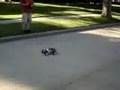fastest? BRUSHED D5 (8 turn dbl) rc10t